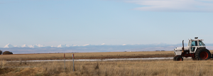 Southern Alberta Rural Landscape